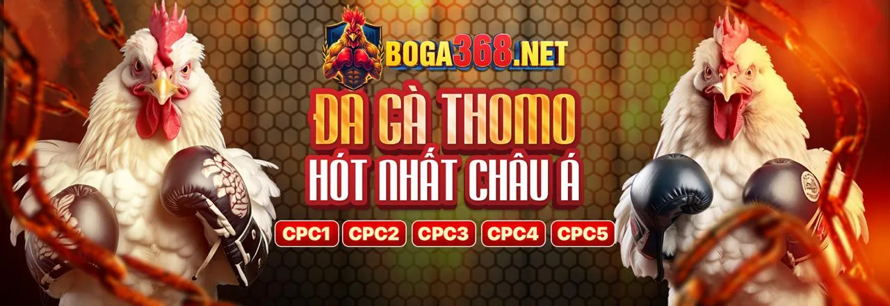 Đá Gà Trực Tuyến 7clubs Khuyến Mãi 2026